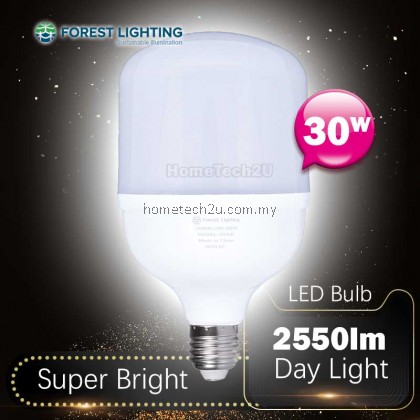 FOREST LIGHTING 30W E27 ENERGY SAVING LED BULB DAYLIGHT